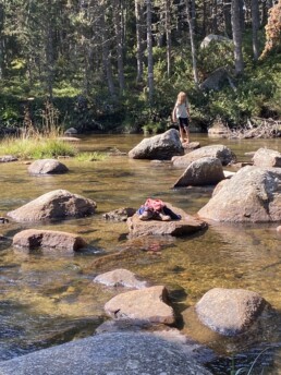 campinglesbouillouses-lacdesbouillouses-carlit-riviere-foret (30) 21