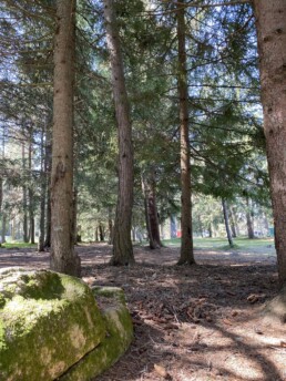 campinglesbouillouses-lacdesbouillouses-carlit-riviere-foret (56) 15