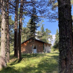 campinglesbouillouses-lacdesbouillouses-carlit-riviere-foret (62) 19 campinglesbouillouses-lacdesbouillouses-carlit-riviere-foret (62) 19
