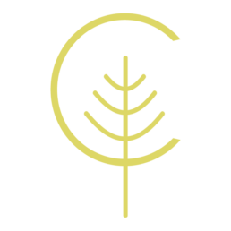 CARTOUCHE 1 CARTOUCHE 1